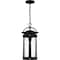 Quoizel Clifton Outdoor Hanging 1 Light Earth Black CLI1909EK - alternate 4